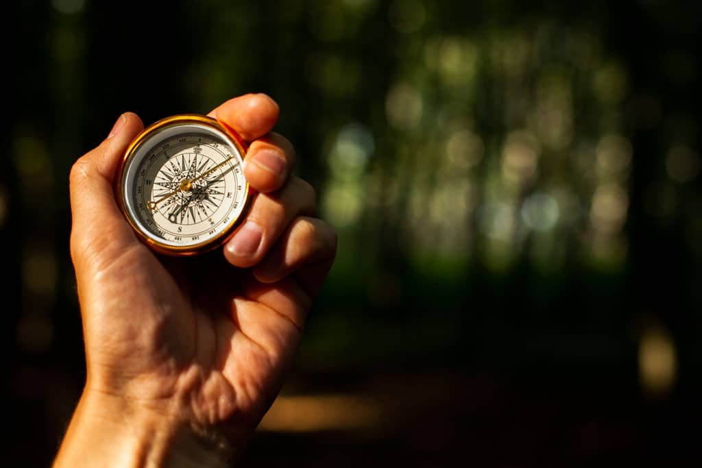 Survival techniques: navigating with compass and anemometer